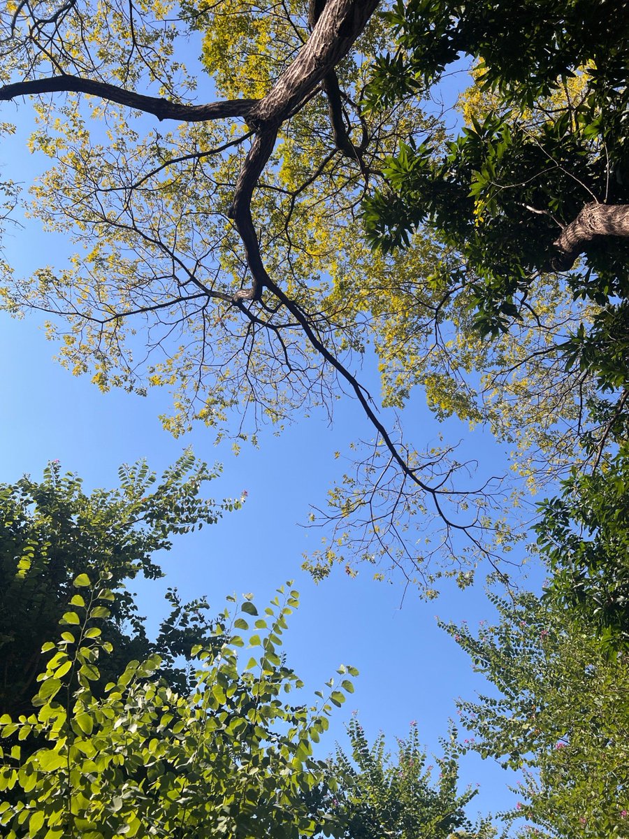 AubreeBennitao's tweet photo. Una tarde de domingo en la calle, luz cálida y momentos que valen la pena capturar.， https://t.co/ameBmHIO0H