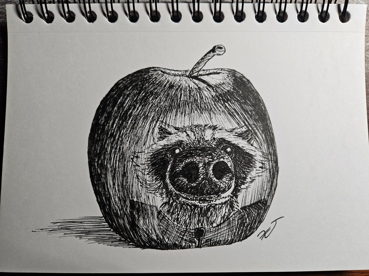 netwarior5's tweet photo. #Inktober has started! I'm unsure how many of the prompts I'll get to this month, but I'm pumped to try and do as many as I can!
Here is my response to the "Apple" prompt. What better way to celebrate Raccoon Day than a Rocket response?
#RocketRaccoon #traditionalart https://t.co/VP5ZTE1wb0