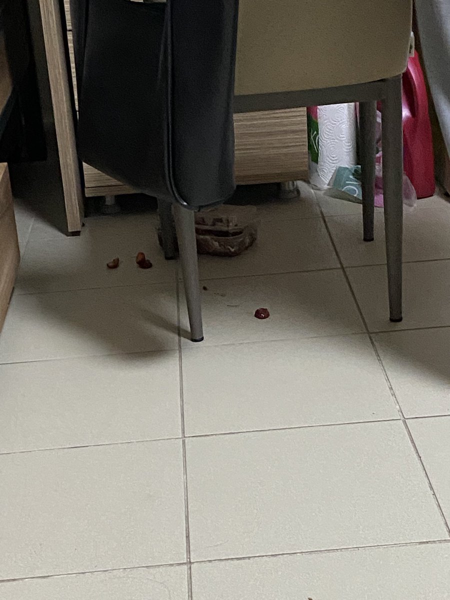 uknowhowb's tweet photo. oda arkadaşımın waffleı yere düştü😭😭😭 https://t.co/siHT3hc272