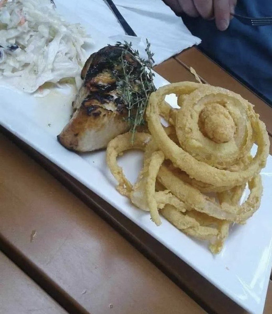 PookiesParadise's tweet photo. fried onion rings and roasted chicken for lunch, money is good https://t.co/Qfl8ToksSG