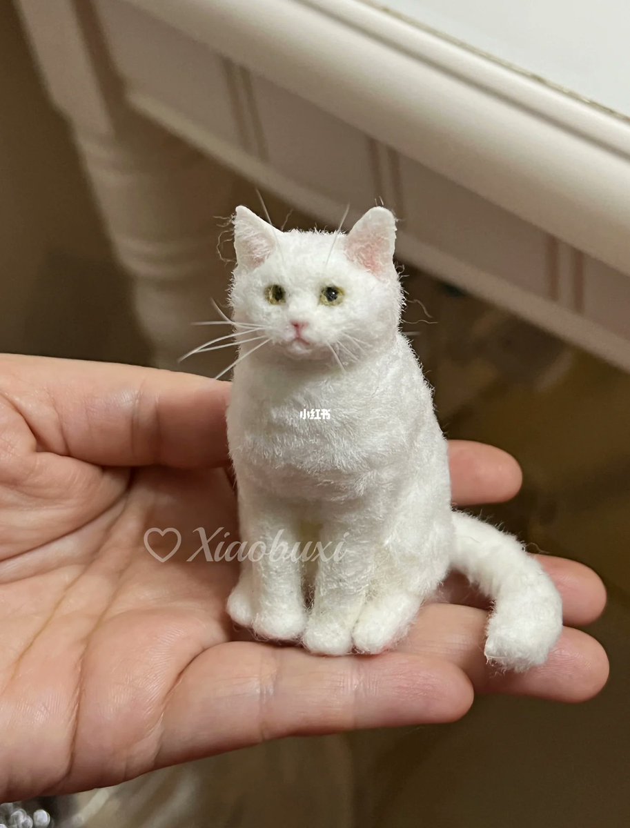 RachelAarocy's tweet photo. Hoy hago un llavero de fieltro con formas de gato, materiales simples y paso a paso fácil! （中文译：今天用简单材料做了个猫咪形状的毛毡钥匙扣，步骤超简单！） https://t.co/zIOiI2BI7j