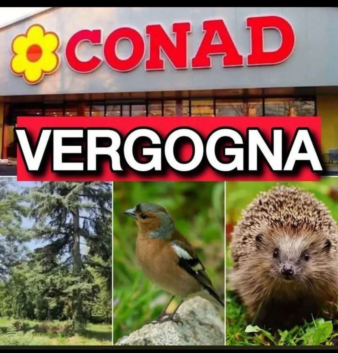 Mariangelaf69's tweet photo. @OssRepressione E noi boicotteremo @conad visto che non possiamo boicottare il Comune. https://t.co/7CO99Jd21l