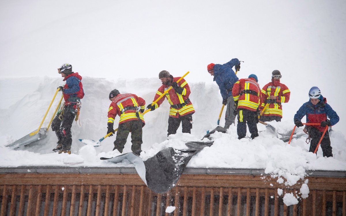 steve_echo8_f2c's tweet photo. [Sled rescue team helps the stranded fat cat on the snowy slope! A warm winter moment.] https://t.co/74f6PsW381