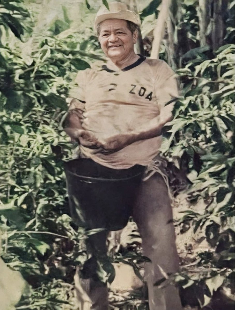 jessicaramosqns's tweet photo. El café para mí nunca ha sido solo café. ☕️🇨🇴

Es mi abuelo recogiéndolo con sus propias manos. Es nuestra finca. Es mi mamá. Es el olor de una taza de café colombiano que me conecta con mi familia, mi tierra y tantas generaciones de trabajo.

Detrás de cada grano hay manos campesinas, conocimiento, paciencia y una historia que merece ser valorada.

En este Día Internacional del Café, celebro con orgullo a Colombia, a quienes cultivan uno de nuestros mayores tesoros y a las raíces que siempre llevo conmigo. 🌱☕️❤️ #diainternacionaldelcafe