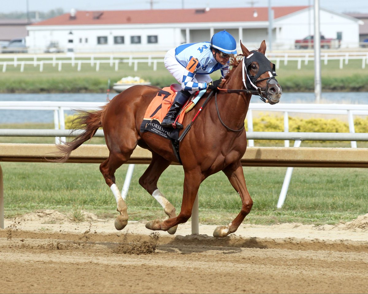 JohnGDooley's tweet photo. After a string of silver medals this year @OaklawnRacing, @ChurchillDowns and @Saratoga1863, EXPECT THE BEST (Khozan) makes it GOLD🥇@HSIndyRacing with @Rbejaranojockey for trainer @MoquettRacing97 in the 3yo &amp; Up Allowance on Thursday. The Florida-bred 4yo now 15-5-4-3 overall. https://t.co/yXORPCvfaf
