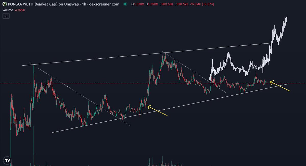 CryptoKaleo's tweet photo. $PONGO is still free here https://t.co/NDqTQhM4Ig