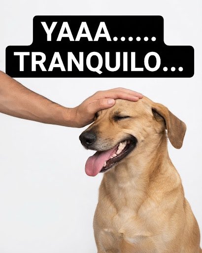 MendezRayo's tweet photo. @ogutierrez72 @lopezdoriga @lopezobrador_ Tranquilo tranquilo ya pasó !!!! https://t.co/joTWVfXQbq