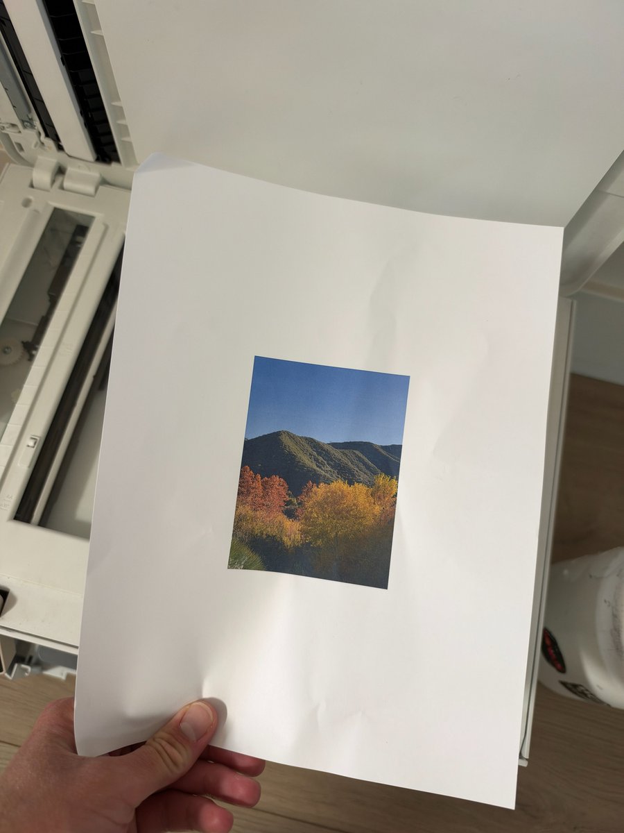 danghentschel's tweet photo. My process for photos is shot on iPhone then printed in color on letter paper and scanned. https://t.co/IBFoXrfuXc