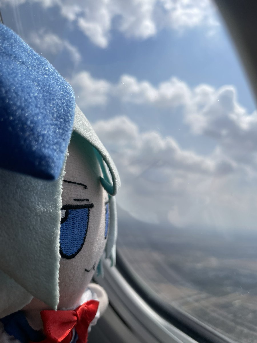 CirnoIsDumb's tweet photo. Baka learned flight https://t.co/eltY7RpAFv