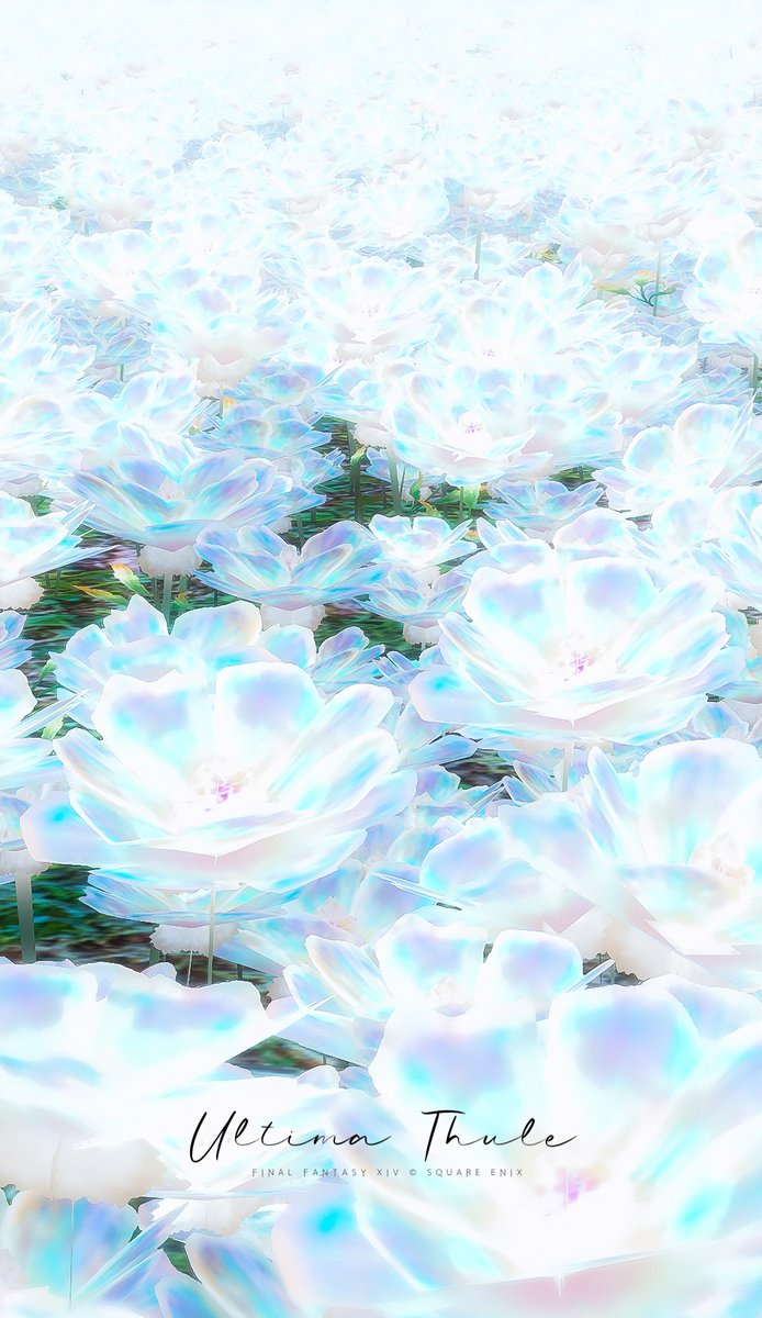 len_xiv's tweet photo. 最果てに咲く希望の花
#FF14風景 https://t.co/dFtkSy5csf