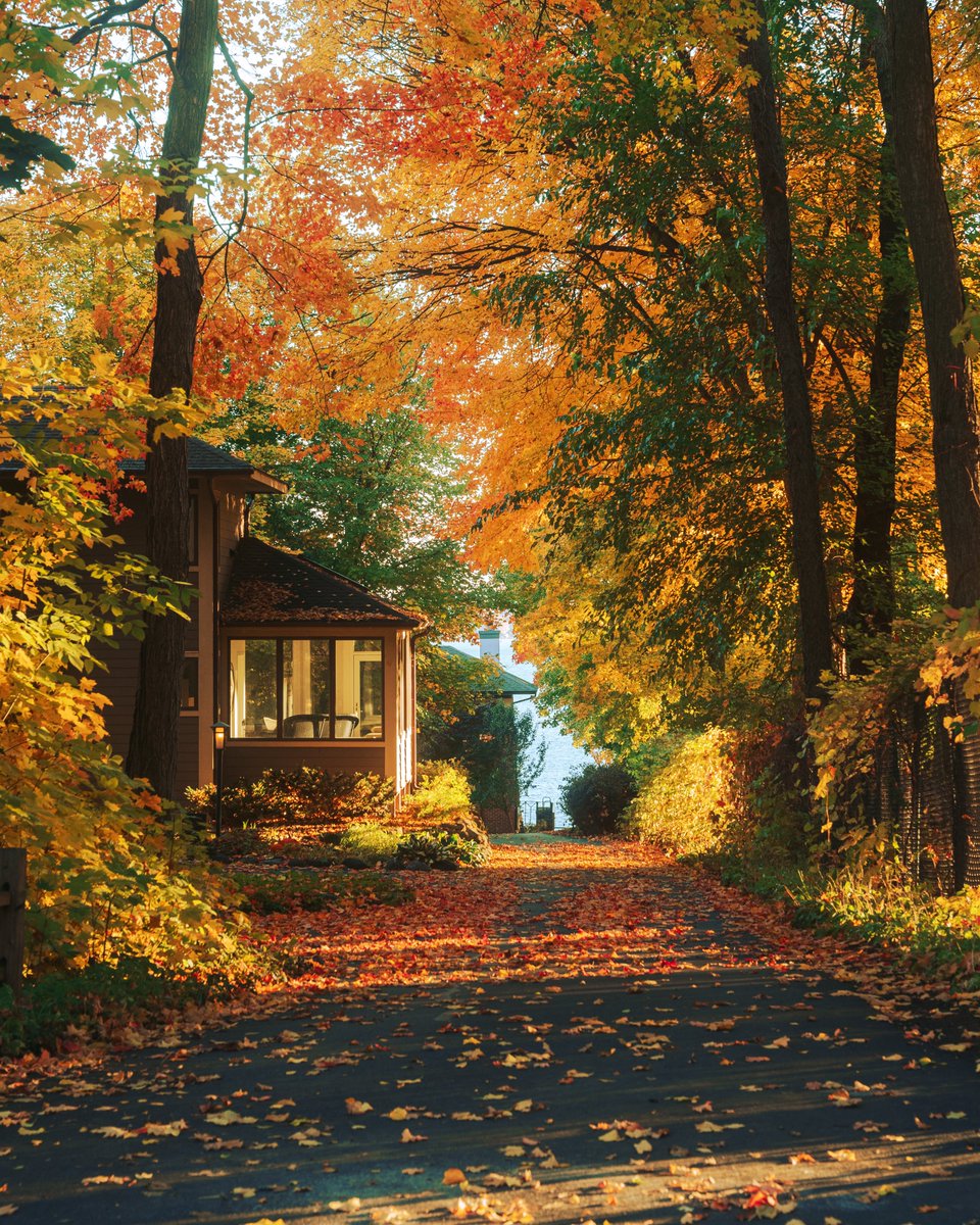 _thecolorfulkid's tweet photo. Fall in Wisconsin https://t.co/AGEwy2FZJD