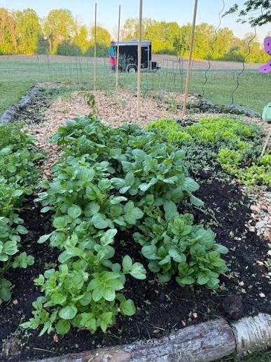 alcrapy's tweet photo. Be honest,

Why is every software engineer’s backup plan always farming? https://t.co/ghV2EfFitt