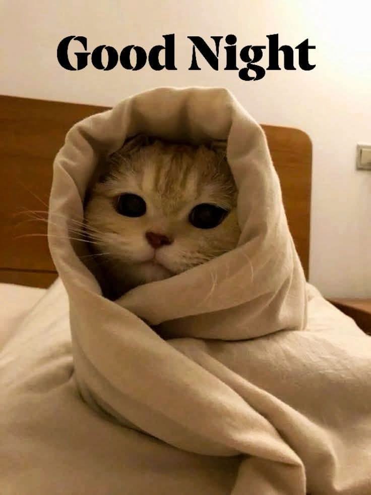 Chibena_'s tweet photo. Goodnight you guys 😌.

This month smell like funds 💕✨ https://t.co/UdUz2AY1zd