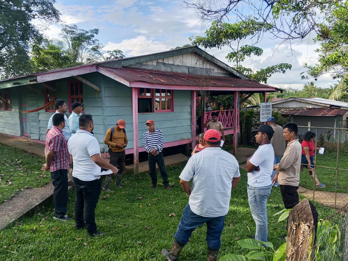 MarenaNicaragua's tweet photo. En el municipio de Bluefields, Costa Caribe Sur, llevamos la entrega de 500 plantas forestales y frutales de diversas especies, con el propósito de contribuir a la restauración de áreas degradadas en las comunidades aledañas de Kukra River.

#VerdeQueTeQuieroVerde
#Biodiversidad https://t.co/XMWRfzHqM2