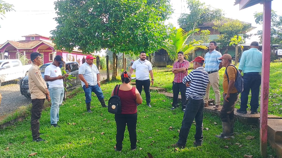 MarenaNicaragua's tweet photo. En el municipio de Bluefields, Costa Caribe Sur, llevamos la entrega de 500 plantas forestales y frutales de diversas especies, con el propósito de contribuir a la restauración de áreas degradadas en las comunidades aledañas de Kukra River.

#VerdeQueTeQuieroVerde
#Biodiversidad https://t.co/XMWRfzHqM2