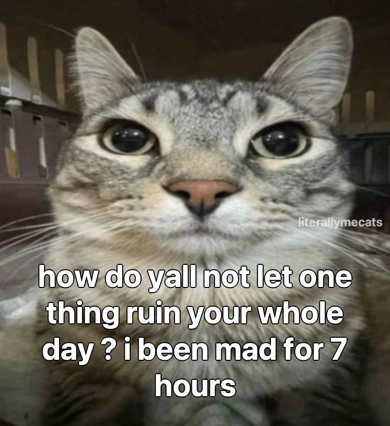 literallymecats's tweet photo. https://t.co/O1iJt4LOWA