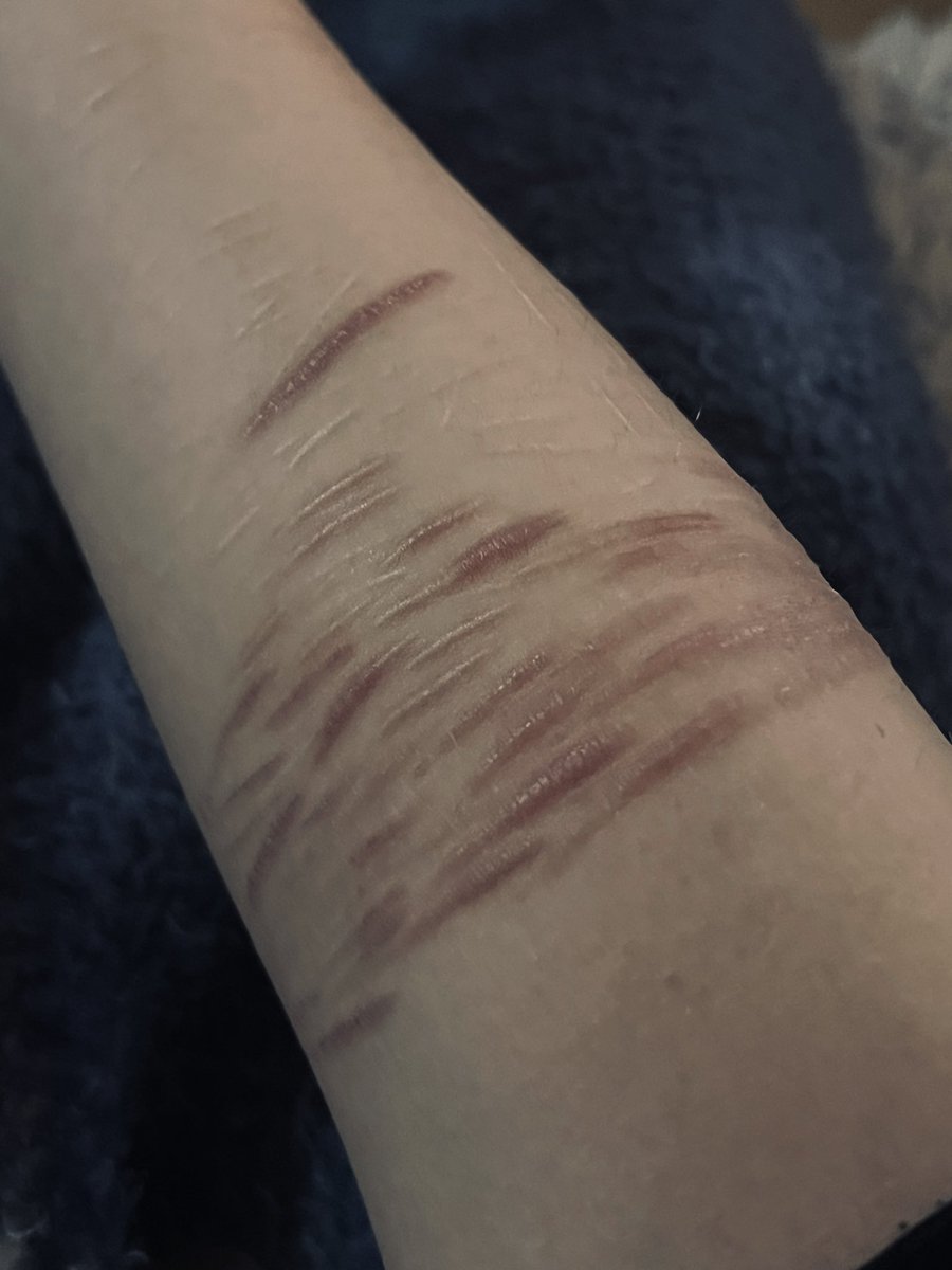 FFEVSWG's tweet photo. old https://t.co/w69KW3SvAS