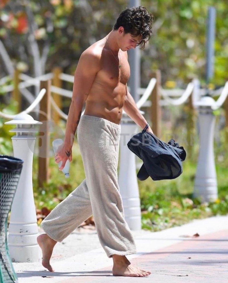 real_jason1's tweet photo. Popular Singer &amp; Songwriter, Shawn Mendes soaking up the sunshine shirtless and showcasing his summer physique 😍 https://t.co/quBFCL7Rtd