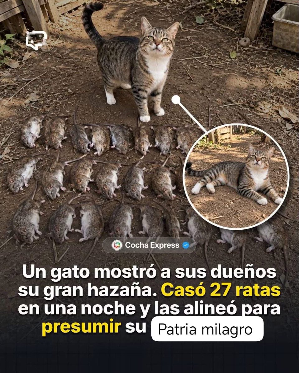 nacional_memes's tweet photo. Jajajajajajaja 🐶 https://t.co/EFk6MfZOmy