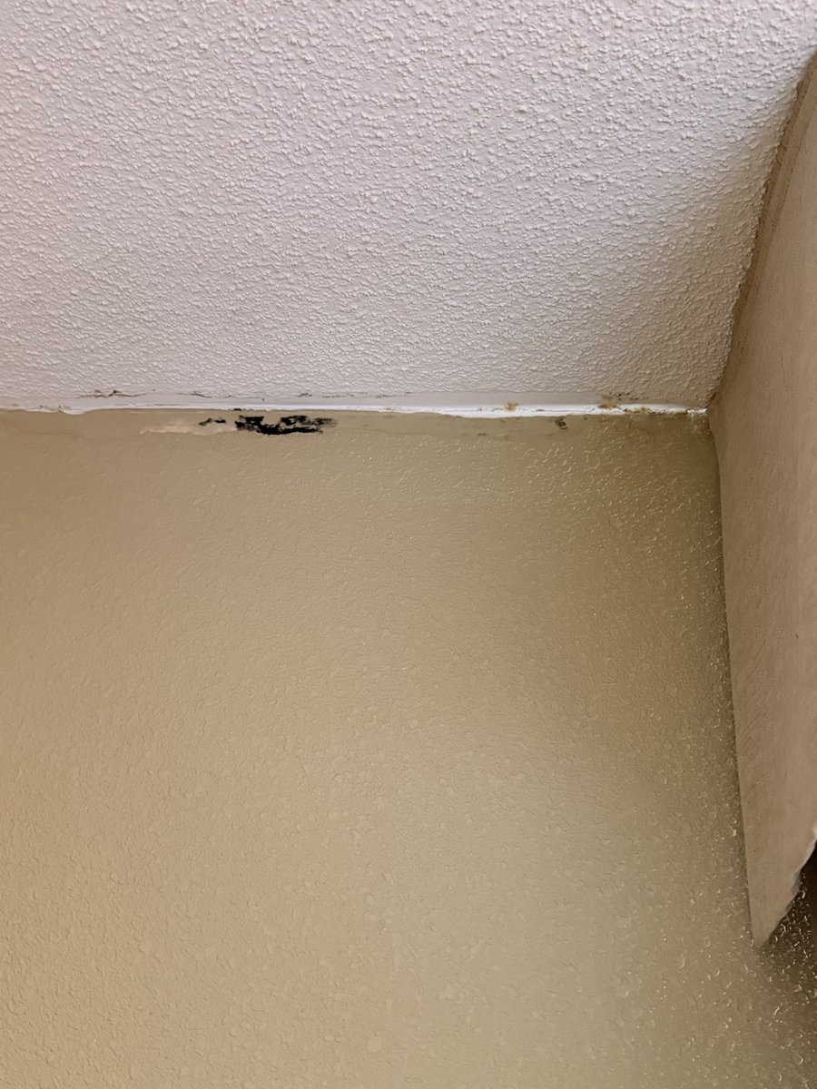 TherapistMAC's tweet photo. Not sure if I am staying at a @HolidayInn of a Trap house. https://t.co/WCihLLsiWC