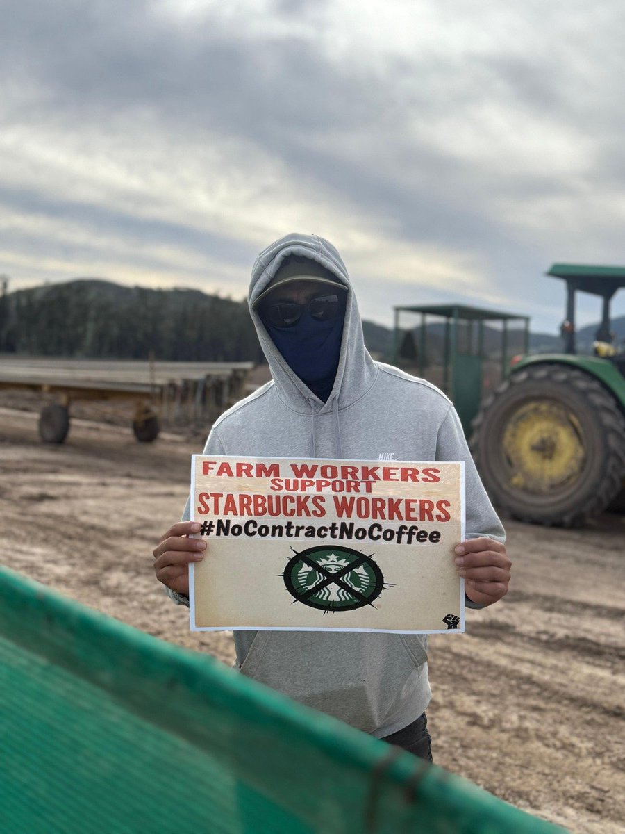 UFWupdates's tweet photo. SOLIDARITY! On International Coffee Day - and every day - farm workers stand with Starbucks workers in their struggle!

Just like many farm workers, @SBWorkersUnited is fighting back against greedy employers for the contract they deserve.

 #NoContractNoCoffee https://t.co/LMtsQOKNMO