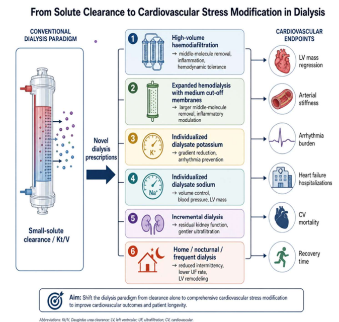 hjanders_hans's tweet photo. Now online in @NDTsocial

Beyond Kt/V: Redefining Dialysis Adequacy as Targeted CV Risk Reduction 

🧐 Future trials should be multicenter, phenotype-enriched, mechanism-specific, adequately powered, and endpoint-adjudicated.

▶️https://t.co/8eHTncLXyk https://t.co/jMcCdpA5fr