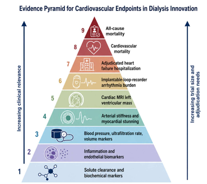 hjanders_hans's tweet photo. Now online in @NDTsocial

Beyond Kt/V: Redefining Dialysis Adequacy as Targeted CV Risk Reduction 

🧐 Future trials should be multicenter, phenotype-enriched, mechanism-specific, adequately powered, and endpoint-adjudicated.

▶️https://t.co/8eHTncLXyk https://t.co/jMcCdpA5fr