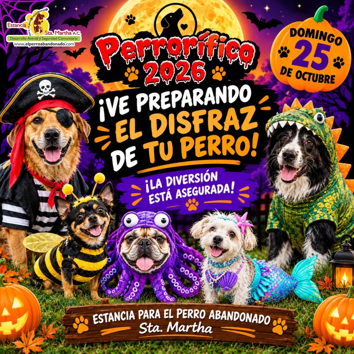 PerroAbandonad_'s tweet photo. ¡Que empiece la búsqueda del disfraz más original para nuestros perros! 📷📷📷 📷 📷

#perrorifico https://t.co/vu6tCH90cC