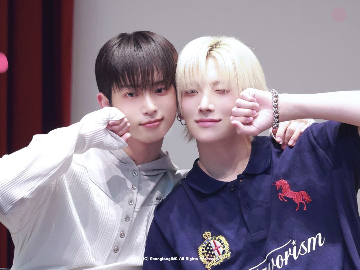 z02evo1's tweet photo. 토끼&amp;고양이 조합은 실패가 없지 https://t.co/Lo81eZLWqE