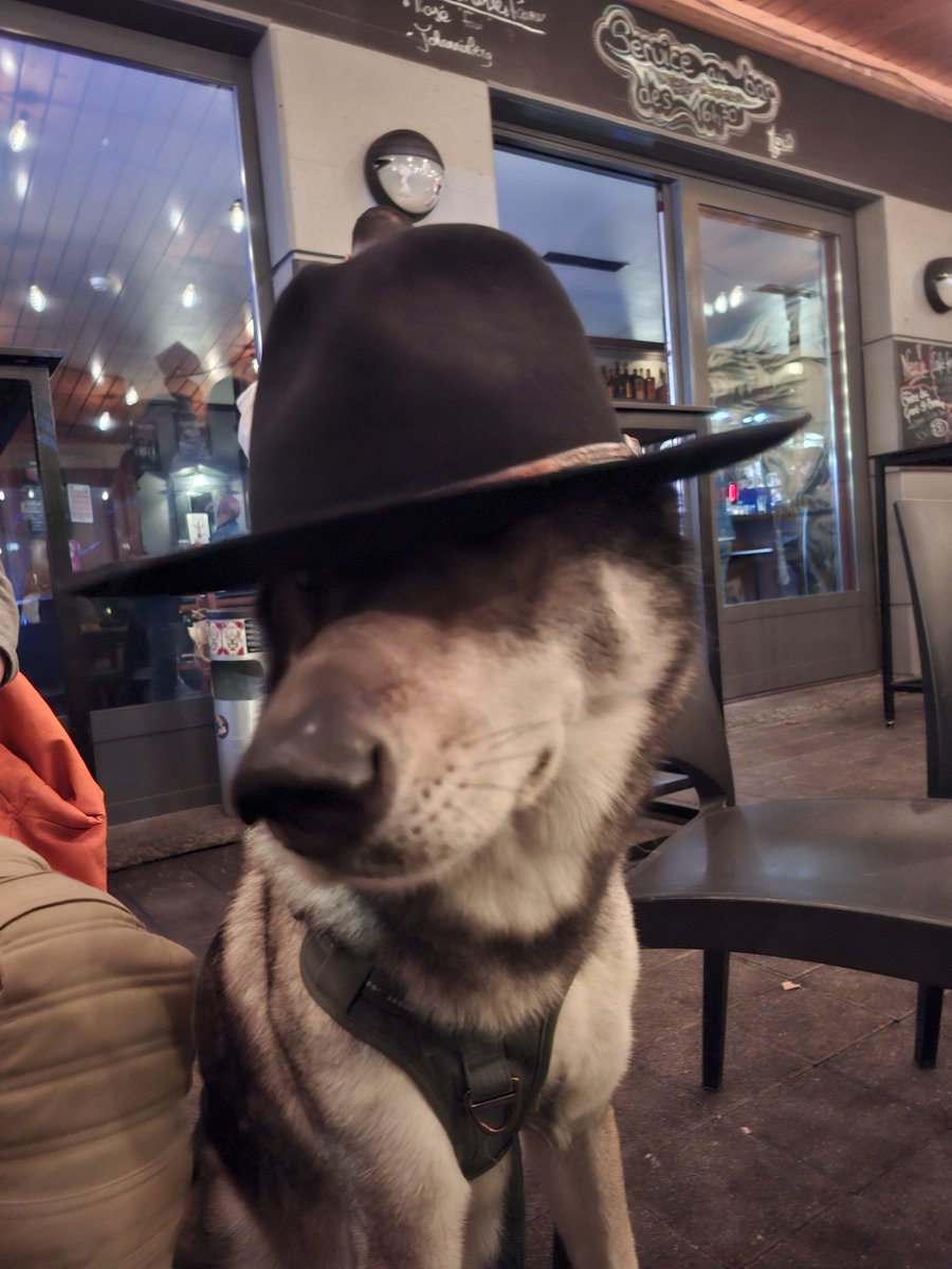 neutral_af's tweet photo. This town ain't big enough for the two of us https://t.co/bt92NPai36
