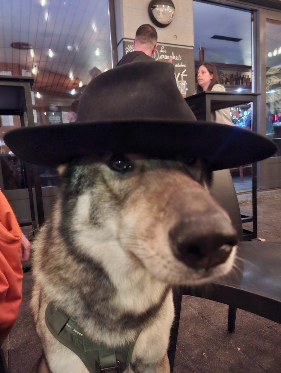 neutral_af's tweet photo. This town ain't big enough for the two of us https://t.co/bt92NPai36