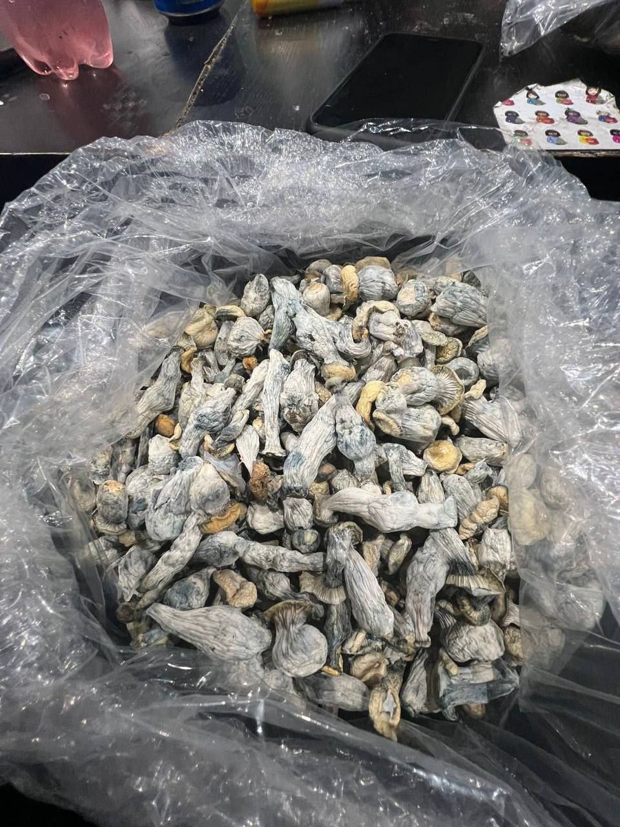 Darius_buds420's tweet photo. Golden caps  going for
Oz $150
Qp $400
Hp$750
P-$1000

Tap in with your orders @Jason420bud 

WhatsApp +1 (518)932-6815
#zaza #weed #weedstore #shroom #plug #drugstm #drug https://t.co/QiBnQYxjvp