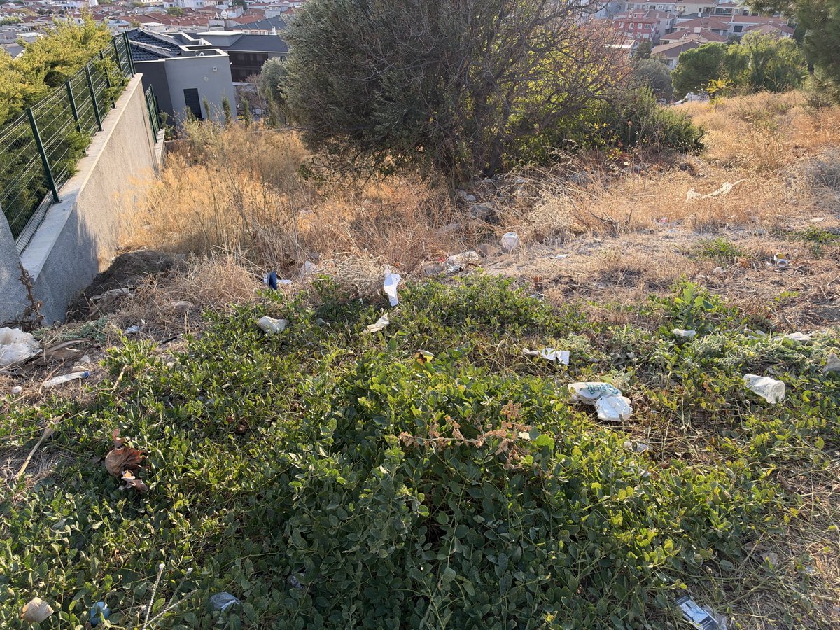 hipocampus21's tweet photo. Burası çeşme sokaklar. Türkiyenin en önemli turizim merkezlerinden biri. Sokaklar çöplük. Çoğu belediyede olduğu gibi, belediyecilerin trk çabası kendilerine çalışmak. Sokaklar çöpten geçilmiyor. Hade beledyeciler hırsız. İnsanlarda çevre bilinci sıfır. Solağa atıları naylon ve plastiklerin doğada kaldığı, toprağı ve yeraltı sularını zehirlediği bilinci sıfır.