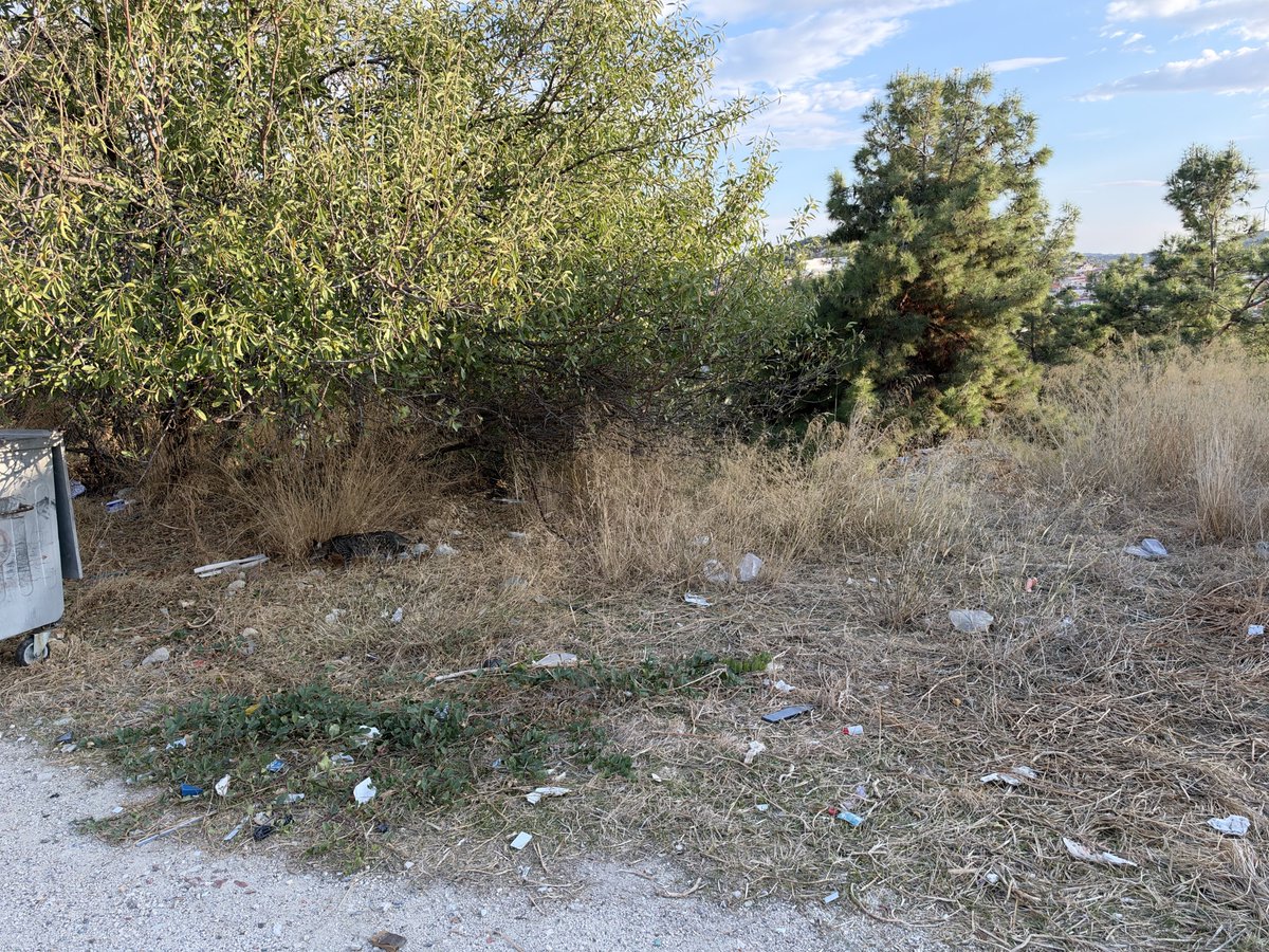 hipocampus21's tweet photo. Burası çeşme sokaklar. Türkiyenin en önemli turizim merkezlerinden biri. Sokaklar çöplük. Çoğu belediyede olduğu gibi, belediyecilerin trk çabası kendilerine çalışmak. Sokaklar çöpten geçilmiyor. Hade beledyeciler hırsız. İnsanlarda çevre bilinci sıfır. Solağa atıları naylon ve plastiklerin doğada kaldığı, toprağı ve yeraltı sularını zehirlediği bilinci sıfır.