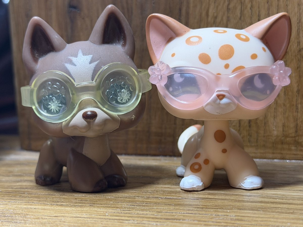 xobimbonympho's tweet photo. https://t.co/pabJXrz2jL