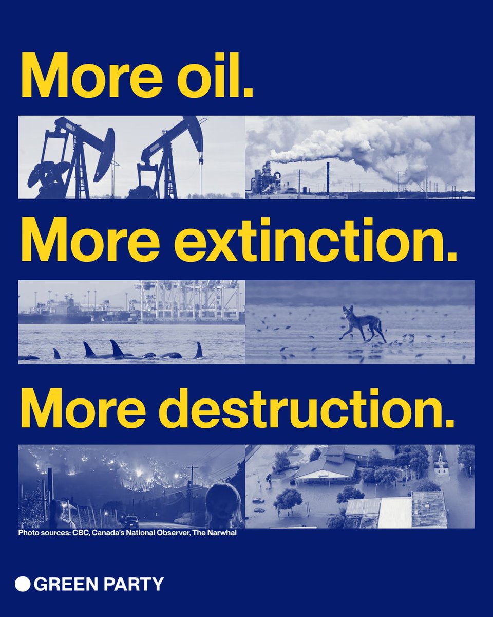 CanadianGreens's tweet photo. More oil, more pollution, more extinction, more public money wasted. That’s what a pipeline of “national interest” means. https://t.co/fdpSjRkwTf