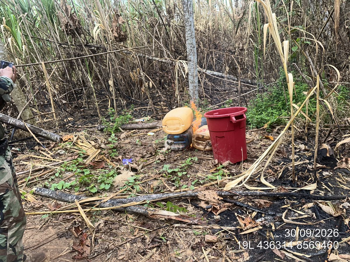 Policia_Peruana's tweet photo. 🚨🇵🇪 #MadreDeDios | 𝐏𝐍𝐏 𝐆𝐎𝐋𝐏𝐄𝐀 𝐋𝐀 𝐌𝐈𝐍𝐄𝐑Í𝐀 𝐈𝐋𝐄𝐆𝐀𝐋: 𝟓 𝐁𝐀𝐋𝐒𝐀𝐒, 𝟓 𝐌𝐎𝐓𝐎𝐑𝐄𝐒 𝐘 𝟑 𝐂𝐀𝐌𝐏𝐀𝐌𝐄𝐍𝐓𝐎𝐒 𝐅𝐔𝐄𝐑𝐎𝐍 𝐃𝐄𝐒𝐓𝐑𝐔𝐈𝐃𝐎𝐒 🚔
Tras labores de inteligencia, efectivos policiales ejecutaron un operativo contra la minería ilegal en Inambari, con participación del Ministerio Público.
Se destruyeron 5 balsas, 5 motores, 3 campamentos y otros bienes empleados presuntamente en esta actividad ilícita, valorizados en más de S/1 millón.
🇵🇪 La PNP intensifica la interdicción contra la minería ilegal y afecta su capacidad logística.
🚔 ¡𝐓𝐮 𝐬𝐞𝐠𝐮𝐫𝐢𝐝𝐚𝐝 𝐞𝐬 𝐧𝐮𝐞𝐬𝐭𝐫𝐚 𝐩𝐫𝐢𝐨𝐫𝐢𝐝𝐚𝐝!
#MadreDeDios #MineríaIlegal #InterdicciónPolicial #PolicíasEnAcción