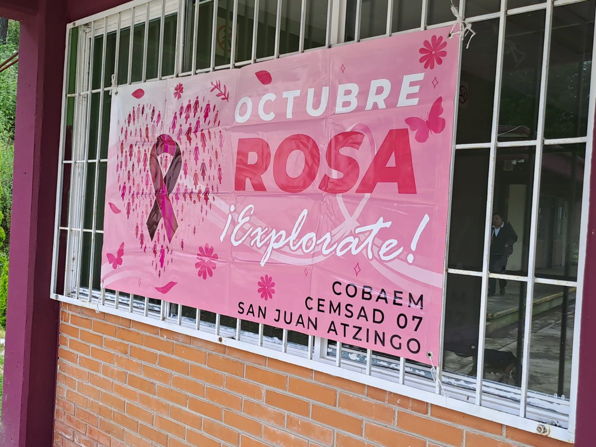 07CemsadSJA's tweet photo. En el CEMSAD 07 San Juan Atzingo, creamos conciencia y sensibilización sobre el cáncer de mama.
#mesrosa
#somoscobaem https://t.co/zM1AhrRSjL