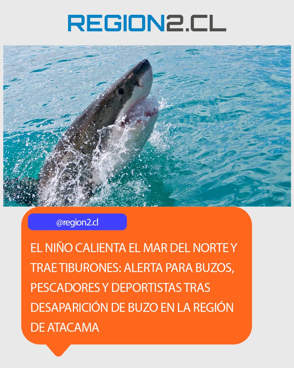 region2cl's tweet photo. El Niño calienta el mar y trae tiburones: alerta para buzos, pescadores y deportistas tras desaparición de buzo en la región de Atacama
➡️https://t.co/6OIaHXKqhP⬅️
#Antofagasta #Calama #Tocopilla #Taltal #Mejillones #Maríaelena #Baquedano #Sierragorda #Sanpedrodeatacama #Chile https://t.co/uCQ6lYCIPu
