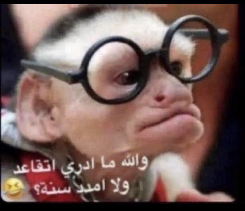 n3mk_1's tweet photo. النسويات كل سنه 
#٢٠٣٠_بلا_نقاب https://t.co/sXoqQskW7l