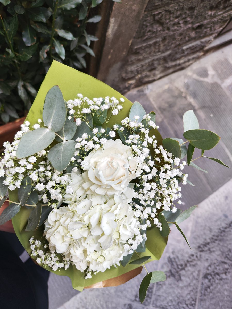 anicestellina's tweet photo. Les fleurs du jeudi 
Per C. 
🤍 https://t.co/JpG2IP67LB