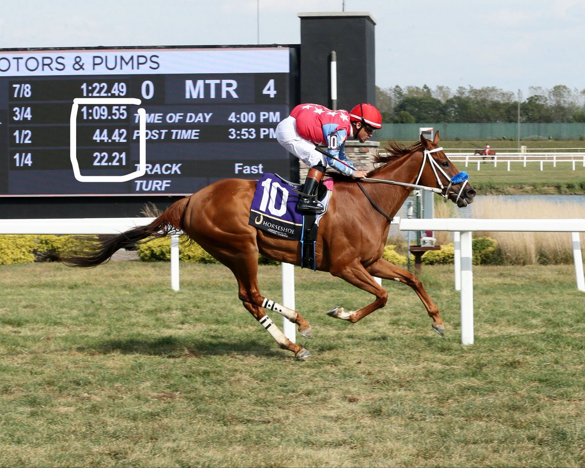JohnGDooley's tweet photo. I MADE IT (Baryshnikov) was on her toes for @ABurgos1498 (35 wins) closing at 13/1 to upset the F&amp;M Starter Turf @HSIndyRacing after a pace meltdown. The 5-time winner trained by Stephen Fosdick for Blaine Davidson. Either a $0.50 Early Pick 5 carryover (#1,3,5) or a nice payoff. https://t.co/IjI2Fd1nwv