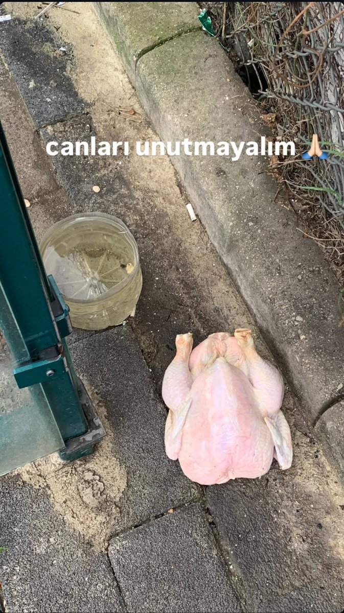 guvenemem0's tweet photo. Öğlen hayır işlemiştik https://t.co/GveC23cvcG