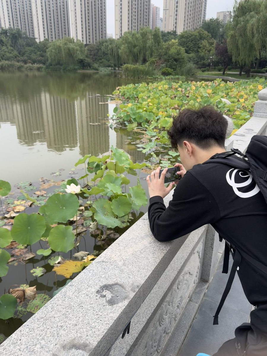wbx0526's tweet photo. 🪷 https://t.co/6Lu1xx7d8C