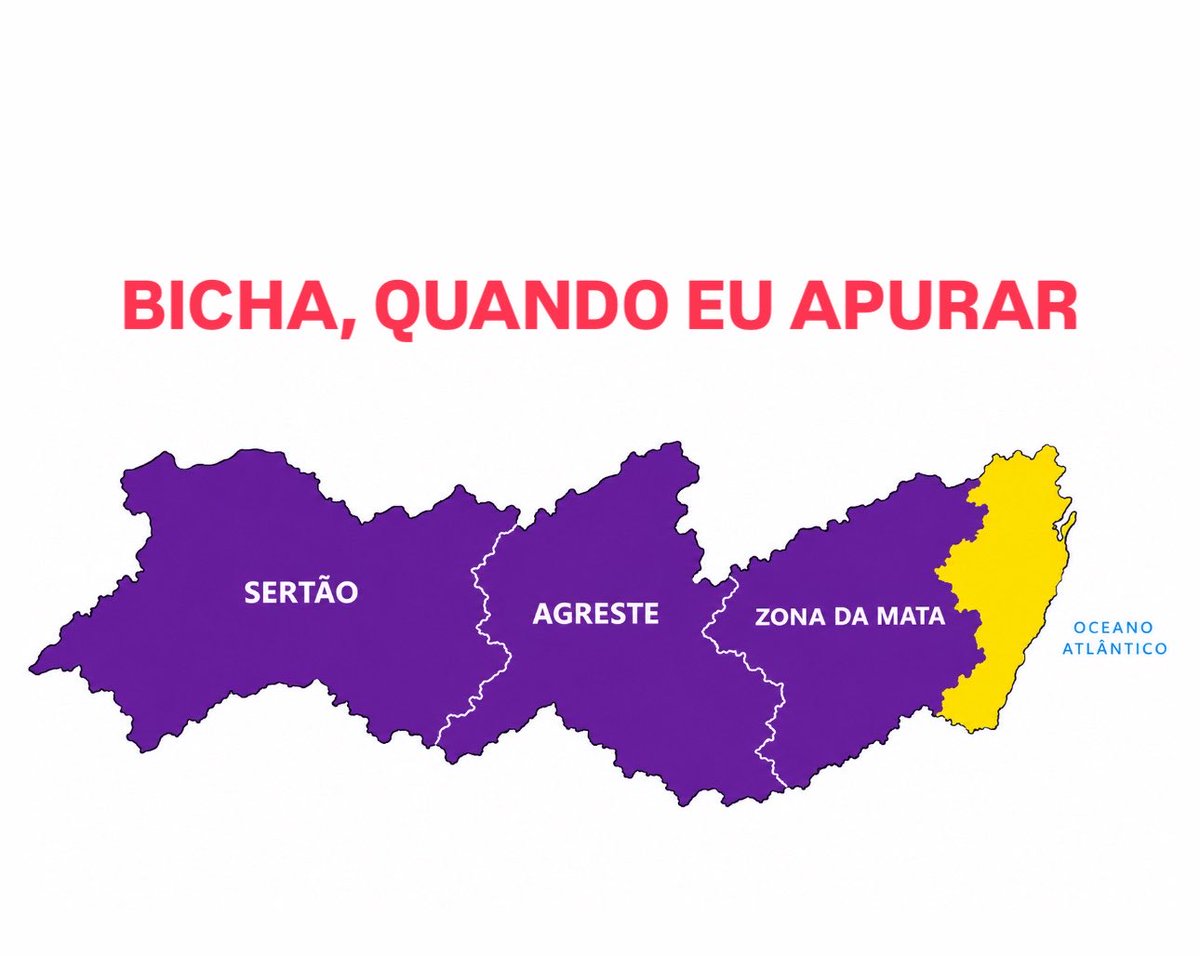 Dedecavalcantii's tweet photo. Papo de eleição nacional com o nordeste salvando o Brasil da burrice do resto! https://t.co/HegAbZr5MA