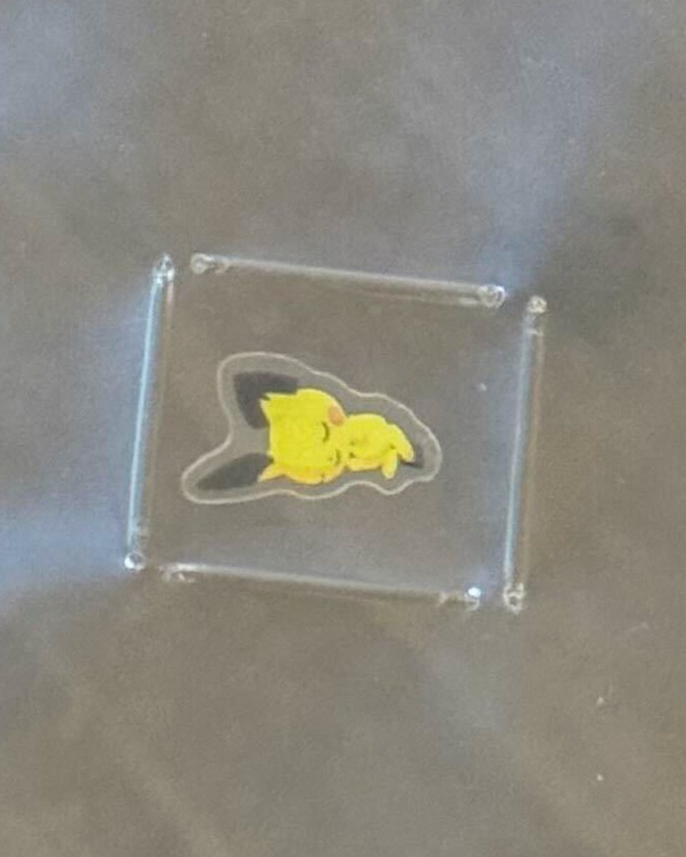 Collect's tweet photo. A Pokémon collector submitted their sleeping Pichu sticker for grading 🥹 https://t.co/CwLF4BhLoX