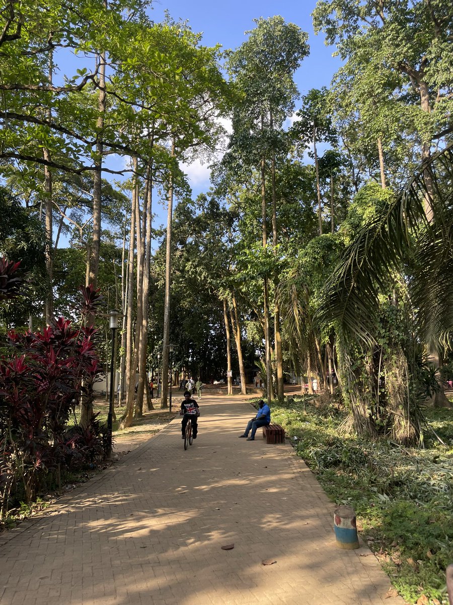 ChigozieObi_'s tweet photo. Agodi gardens hates to see me coming 🙂‍↔️ https://t.co/9tmOSh2fve