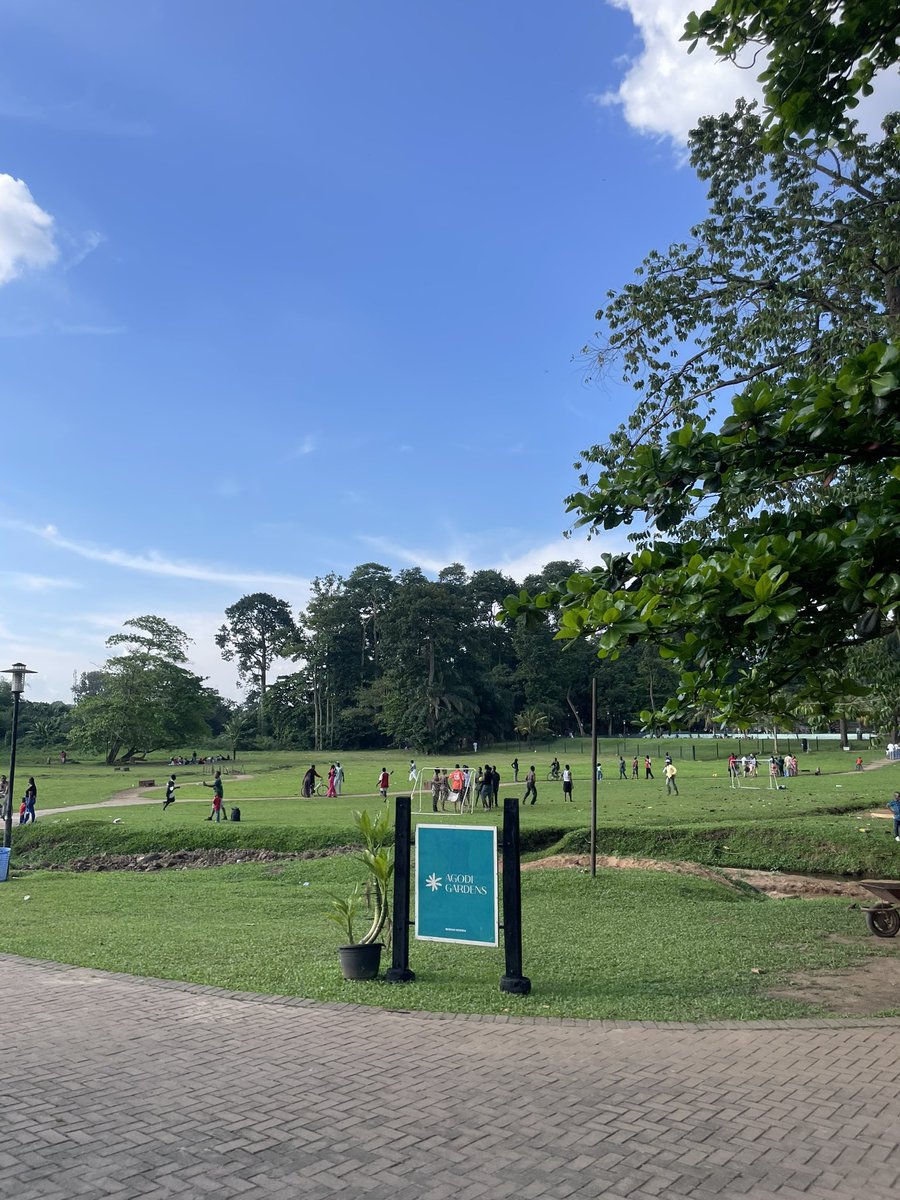 ChigozieObi_'s tweet photo. Agodi gardens hates to see me coming 🙂‍↔️ https://t.co/9tmOSh2fve