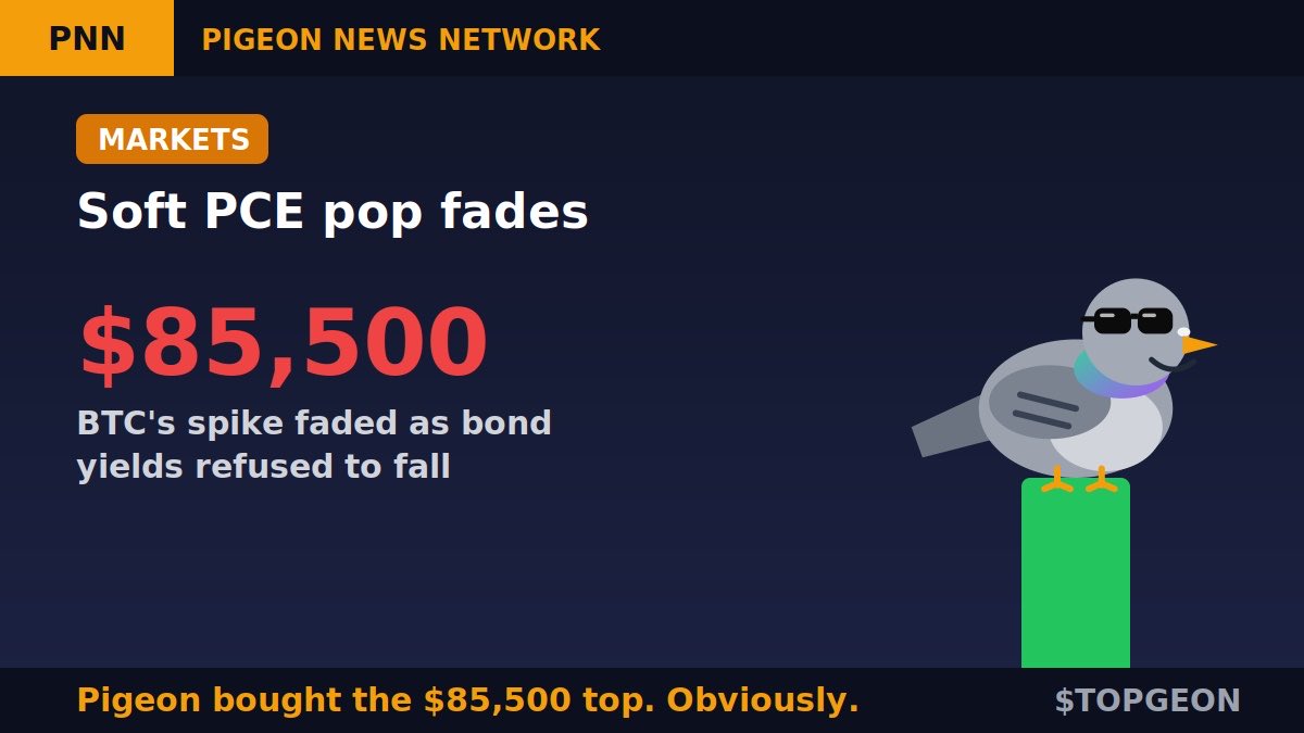 TopPigeonSOL's tweet photo. Soft inflation data, quick pump, quick fade. 📉

$BTC popped to $85,500 on cooler PCE data, then gave it back as bond yields refused to fall.

The pigeon bought the $85,500 top. Obviously. 🐦🕶️

Are high yields the biggest threat to Uptober? 👇

$TOPGEON #TOPGEON #Uptober

💙Like
🔁RT