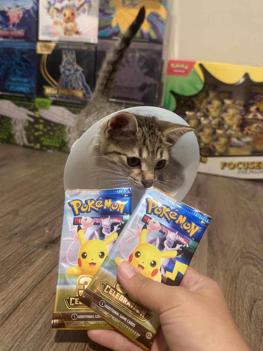 vdltorrex's tweet photo. me and my bestie ripping 30th together 🖤

#kitty #pokemon https://t.co/182wwOrR39